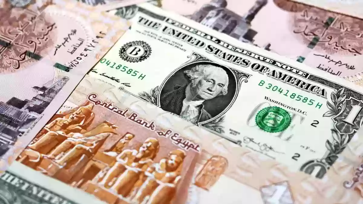 سعر الدولار الأمريكي أمام الجنيه المصري في السوق السوداء اليوم